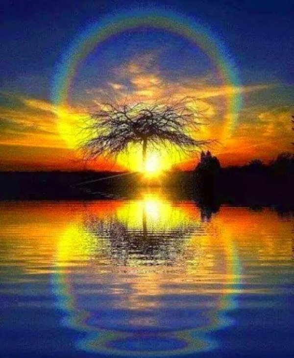 отражение солнца