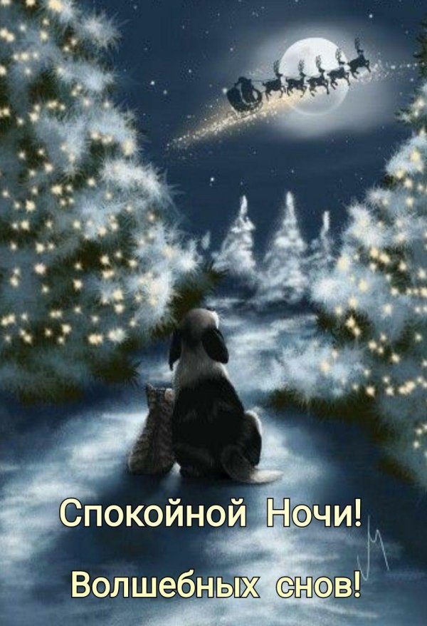 спокойной зимней ночи