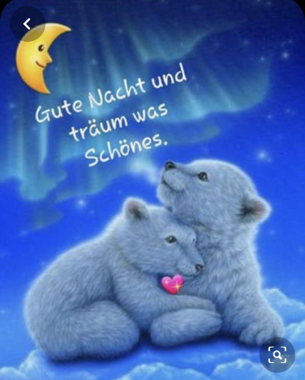 два белых медвежонка