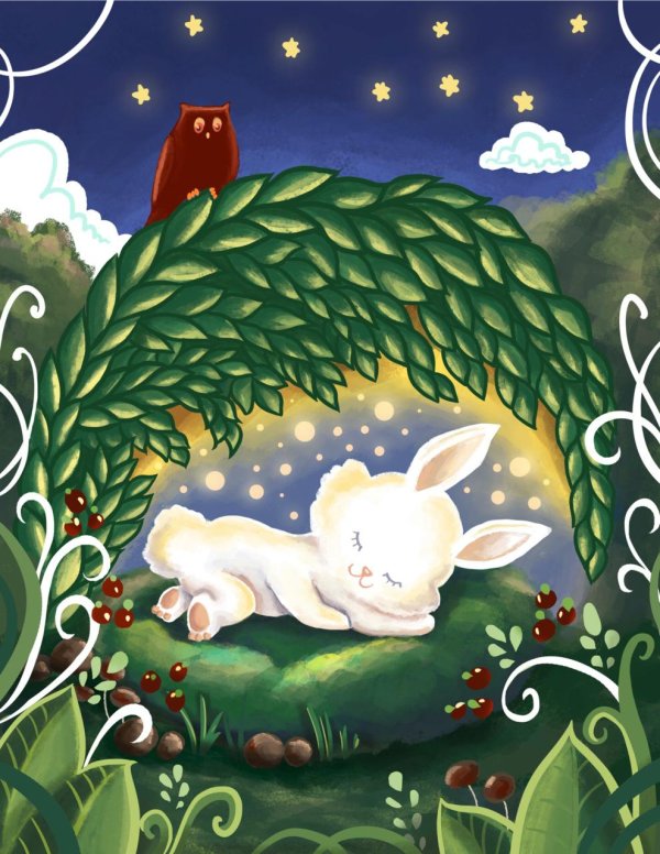 сновидения зайки