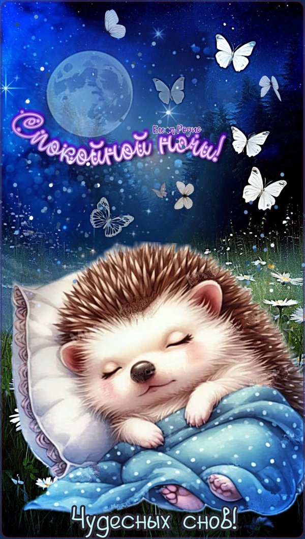 сладких снов ежик