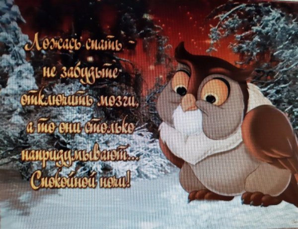 бэмби филин