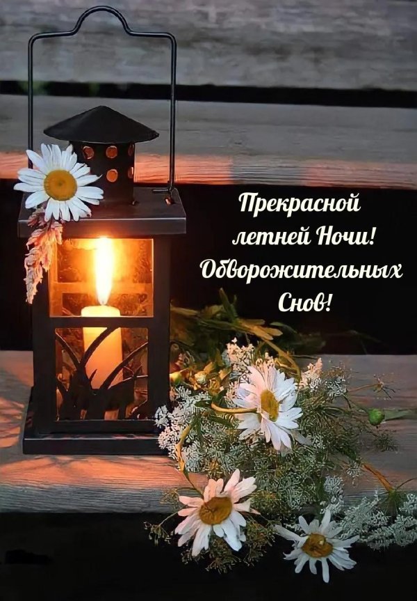 прекрасная ночь