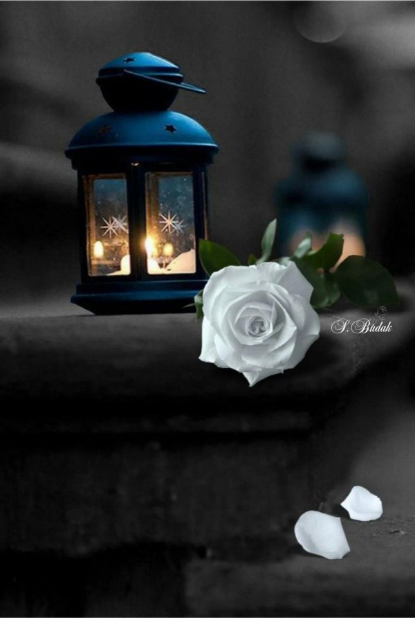 волшебный фонарь