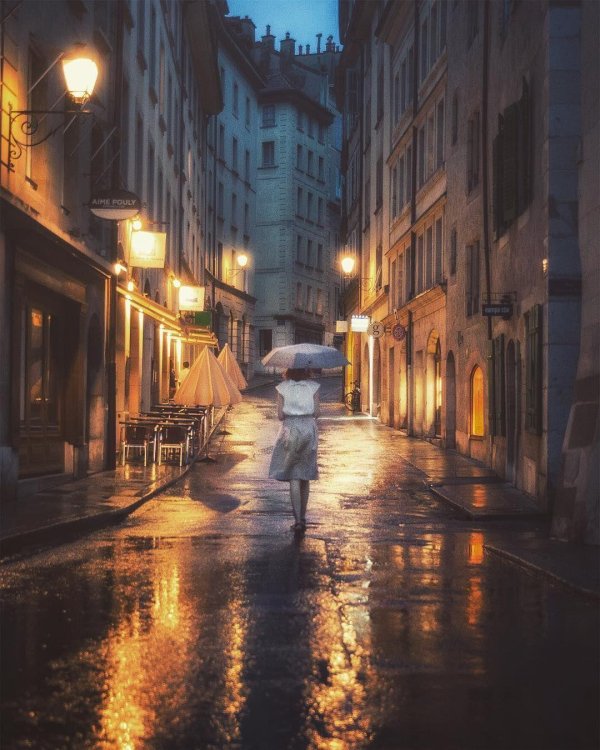 дождливые дни