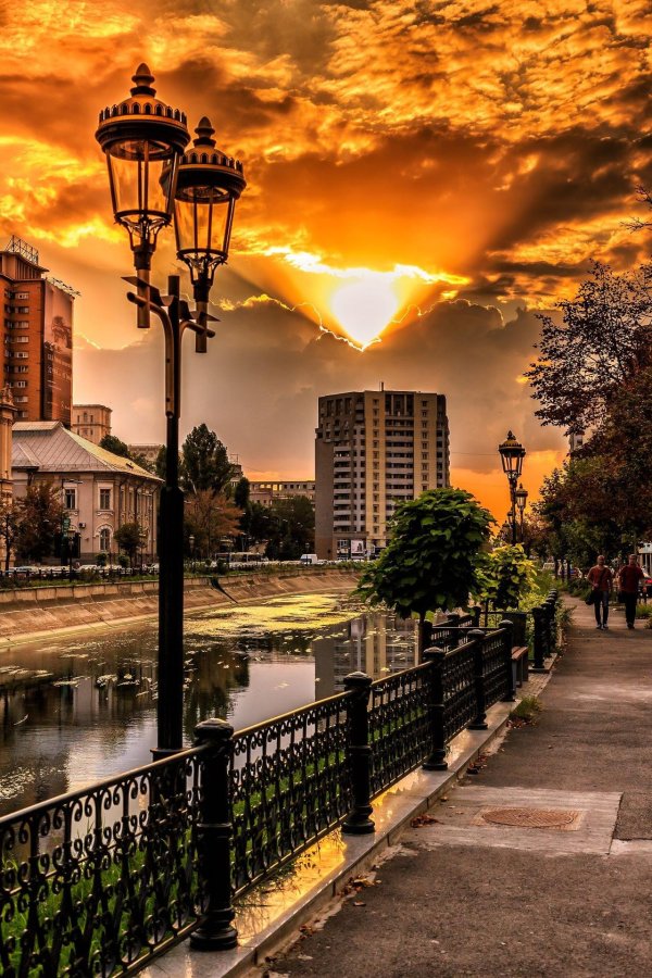 парк щербакова донецк