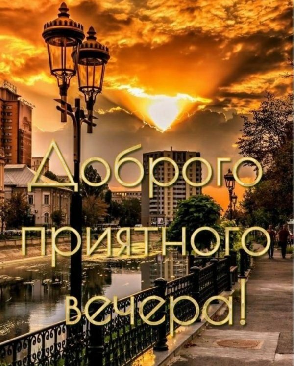 добр вечер