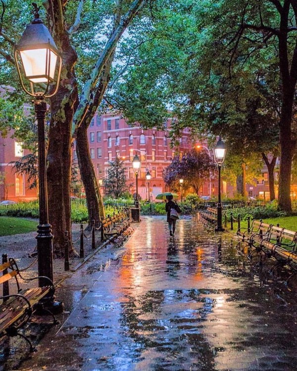 парк вашингтон сквер нью йорк