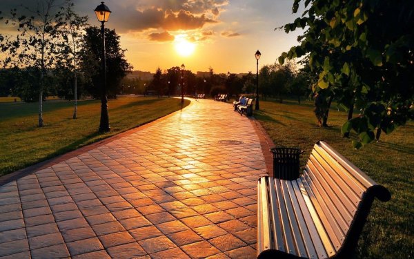 скамейка парковая аллея