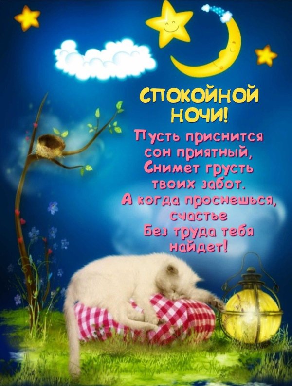 спокойной февральской ночи