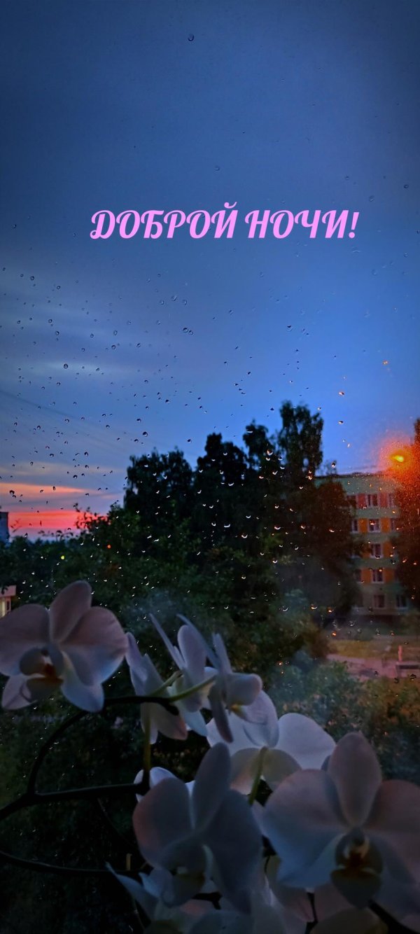 добрая ночь