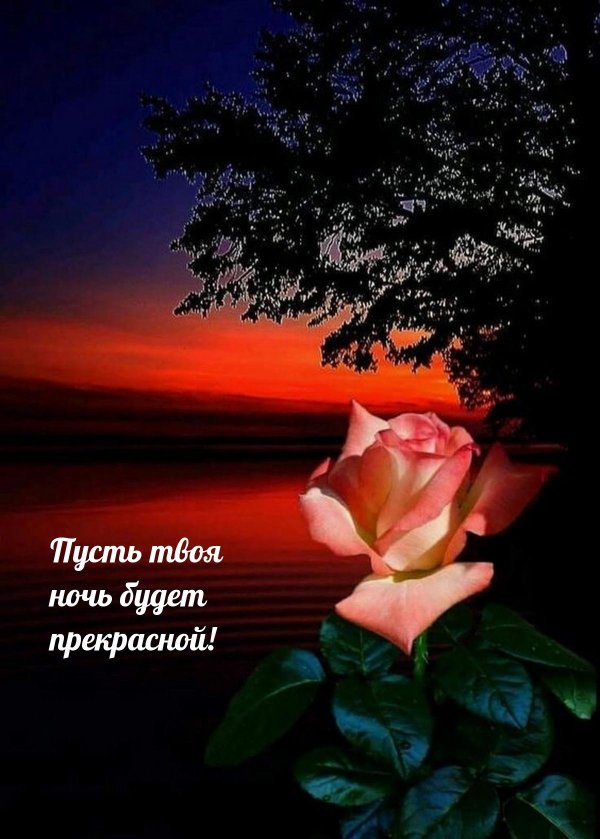 красивого вечера