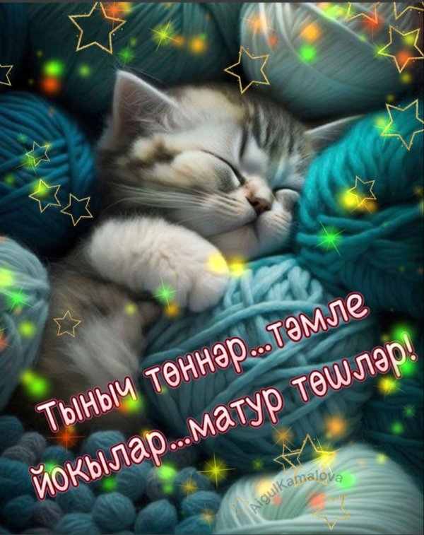 сладких снов котенок