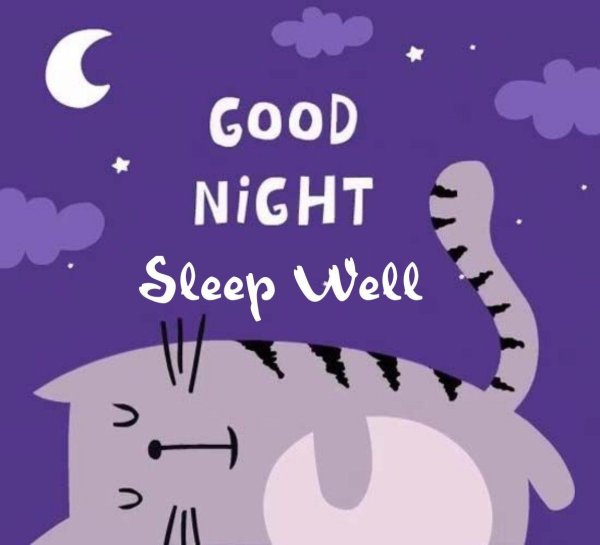 good night котики