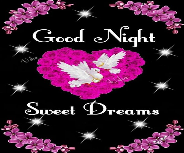 lovely good night