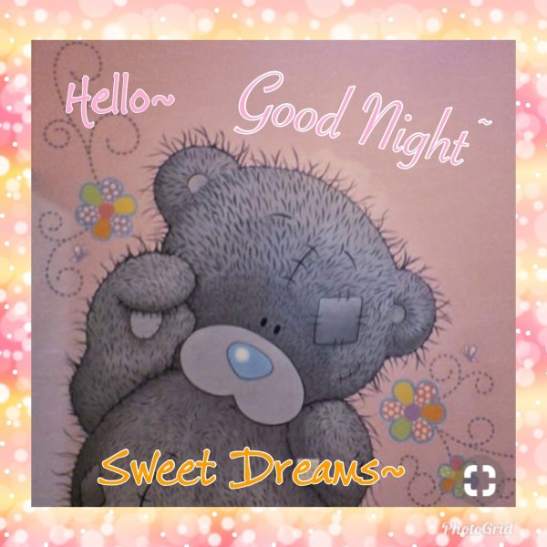 татти тедди