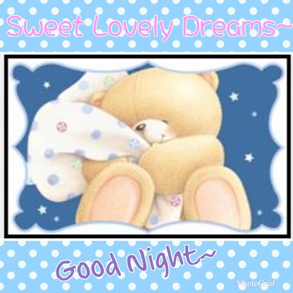 forever friends мишки