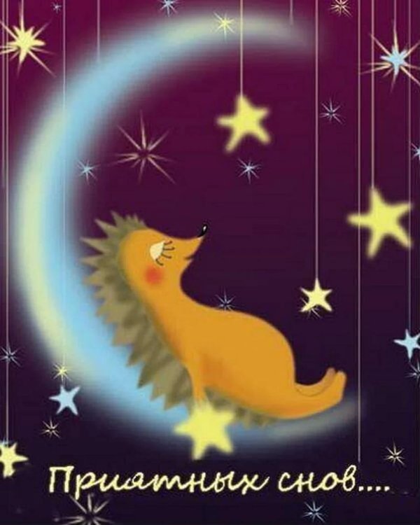 сказочный сон