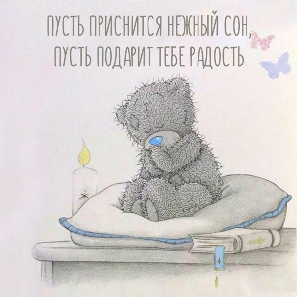 мишка тедди