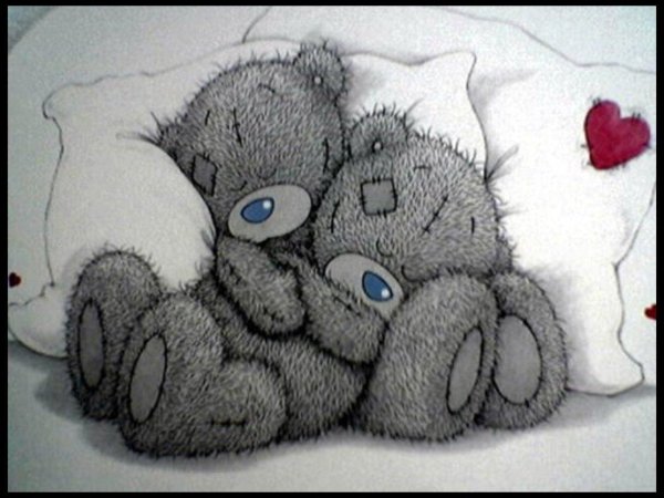 мишки тедди любовь