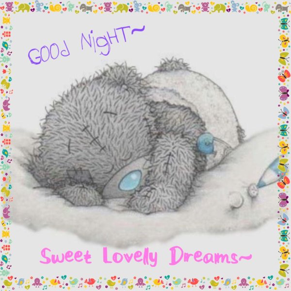 татти тедди