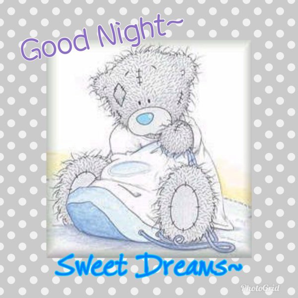 татти тедди