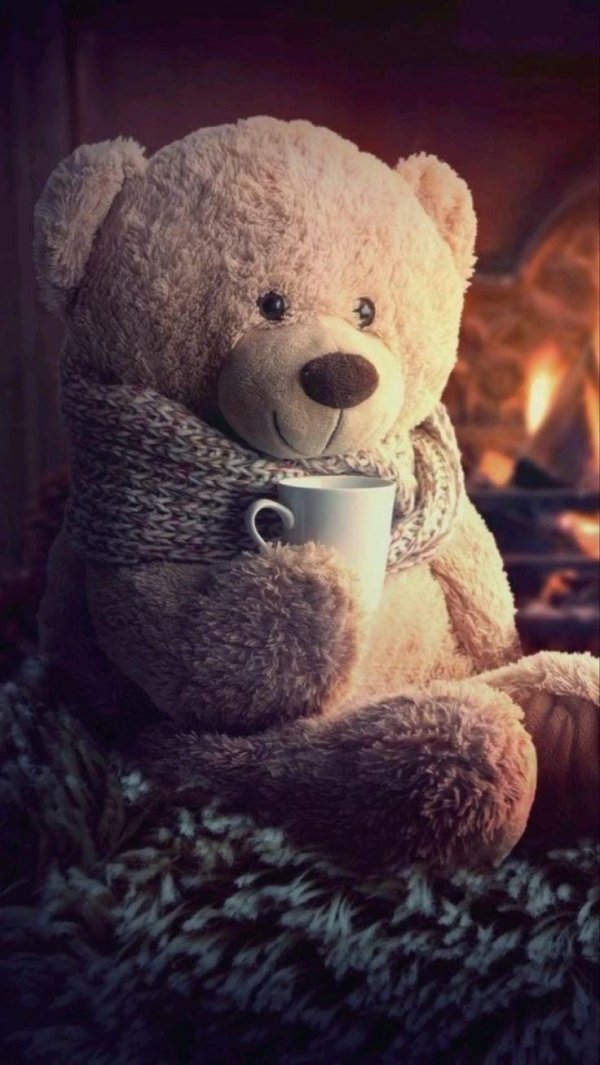 медведи плюшевые