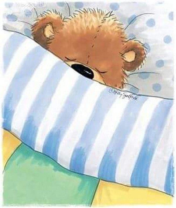 сонный медвежонок