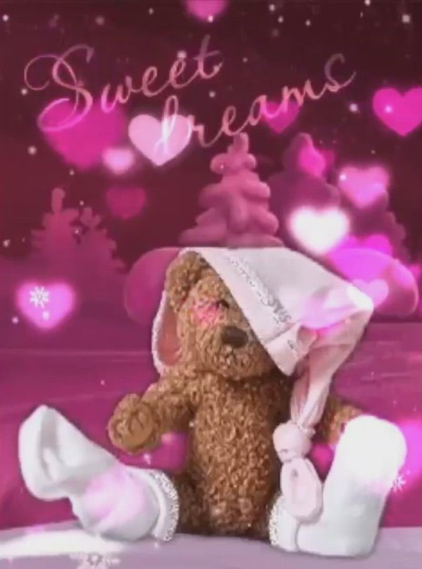 красивые мишки