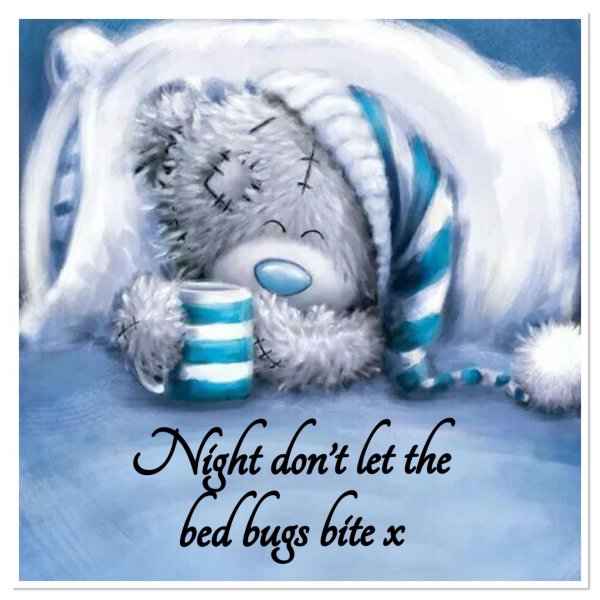 медвежонок тедди спит