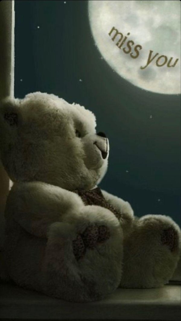 одинокий медвежонок