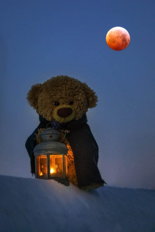 медвежонок плюшевый