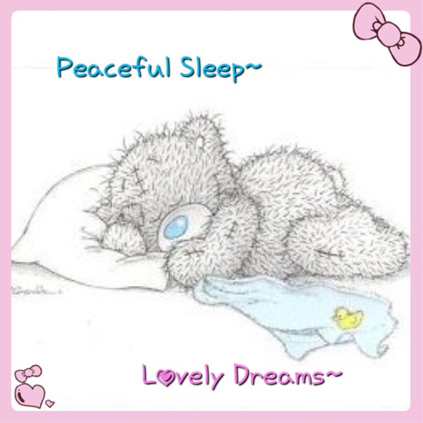 татти тедди