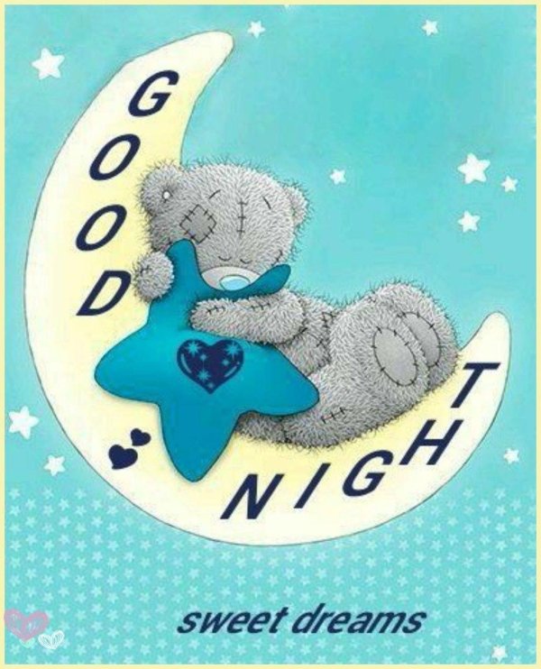 татти тедди