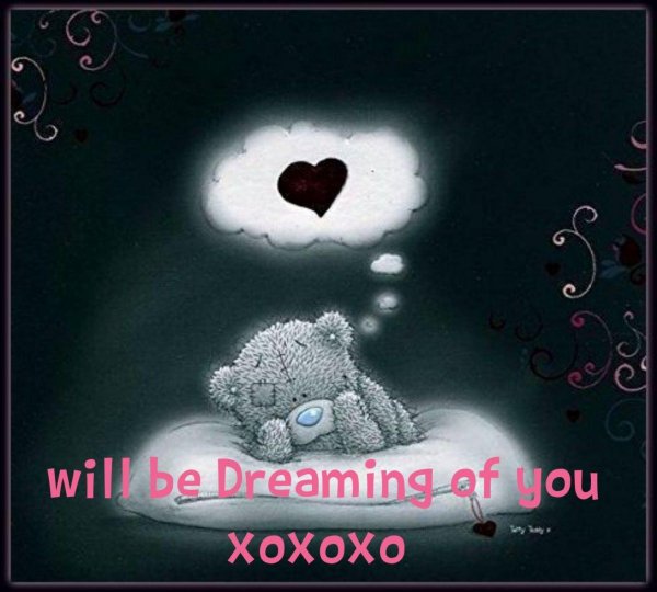 тедди скучает