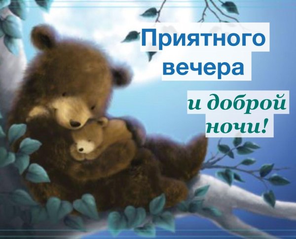 доброй ночи медведь