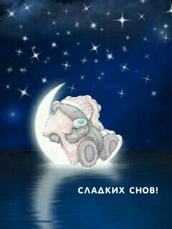 сладких снов мишка