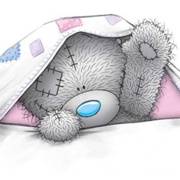 медвежонок тедди спит