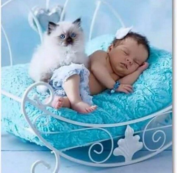 сладких снов дети