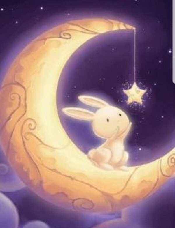 лунный зайчик