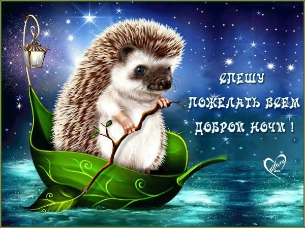 картина ежик