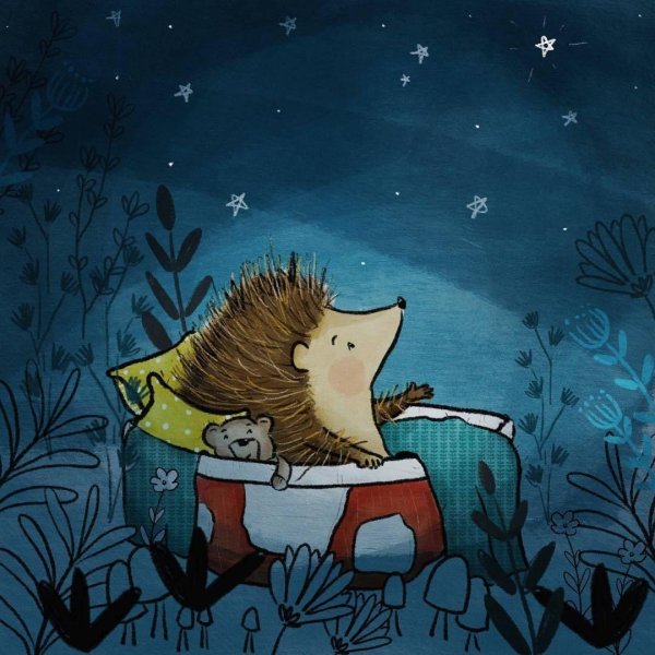 серёжик ракитина кирдий