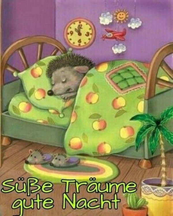 спящие ежики