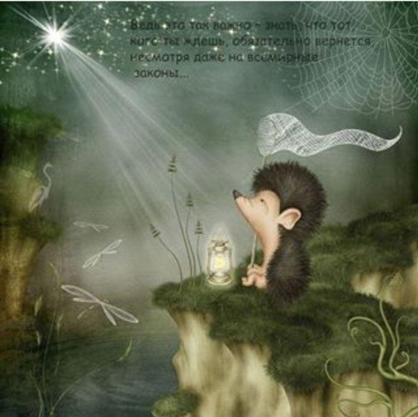 ирина глущенко ежики