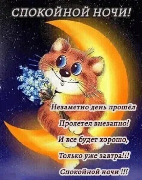 пожелание спокойной ночи