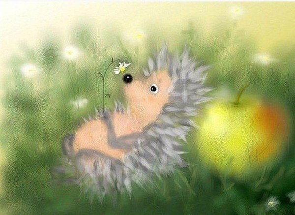 виктория кирдий ежики