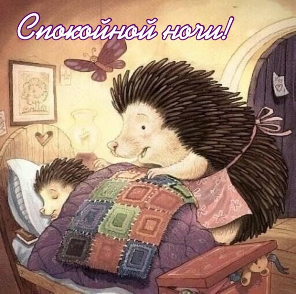 спящие ежики