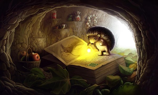 ежиная нора