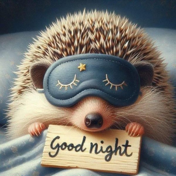 ежики милые