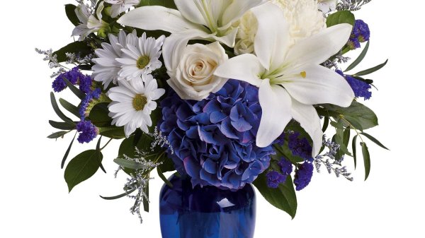 красивая букет